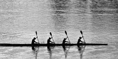 rowing-8135184_1280